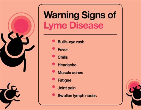 How to Treat Lyme Disease: Your Complete Guide – The Amino Company