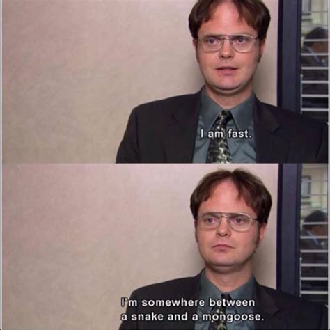 List : 25+ Best Dwight Schrute Quotes (Photos Collection) | Office quotes funny, The office show ...