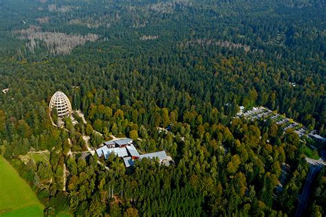 44 metre high tree top walkway in bavarian forest national park