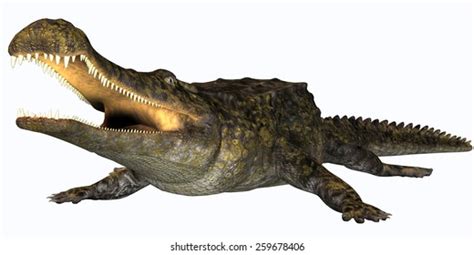 Sarcosuchus Images, Stock Photos & Vectors | Shutterstock