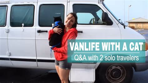 VANLIFE With A CAT - 2 Solo Female Vanlifers Answer Your Questions! | Full Time Traveling With a ...