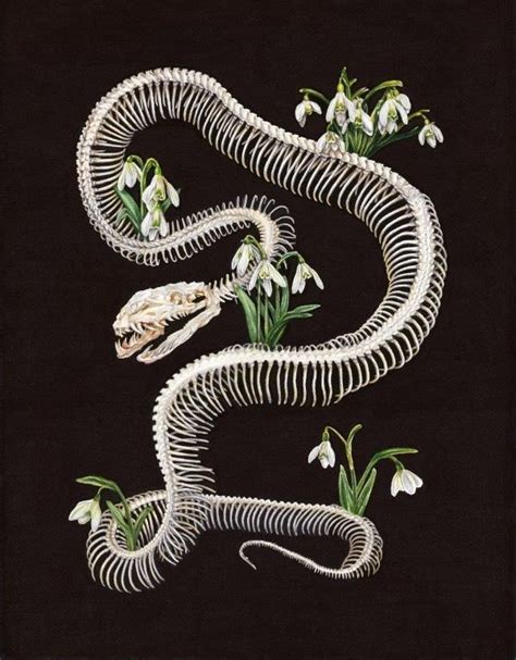 Snake Skeleton Art