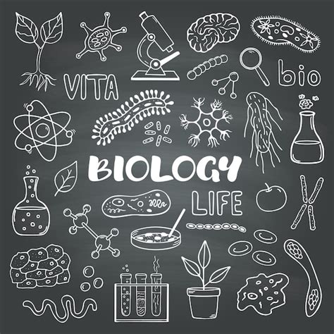 Premium Vector | Biology set of vector hand drawn doodle style elements