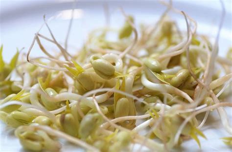 What is the Nutritional Value of Moong Sprouts per 100g and is Moong Sprouts per 100g Healthy ...