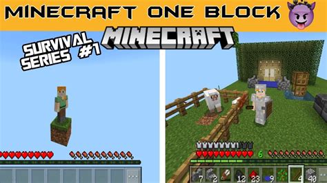 MINECRAFT ONE BLOCK SURVIVAL SERIES #1 SURVIVE 1TO 90 DAYS - YouTube