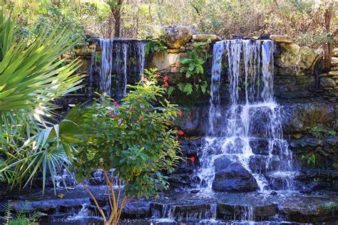 Zilker Botanical Garden: Everything You Need To Know | Plantly