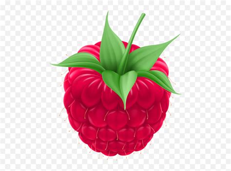 Raspberry Png Clip Art Image - Clipart Raspberry Png Emoji,Raspberry Emoji - free transparent ...