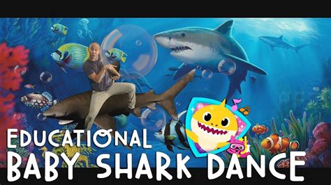 BABY SHARK DANCE - EDUCATIONAL VERSION! (PARODY) - YouTube