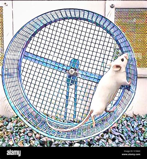 A digital art image of a white rat running in a wheel Stock Photo - Alamy