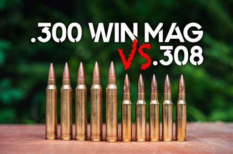 300 Win Mag VS 308 - Wideners Shooting, Hunting & Gun Blog