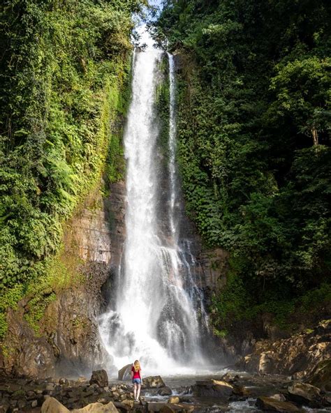 Gitgit Waterfall: the correct location and tips for your visit — Walk ...