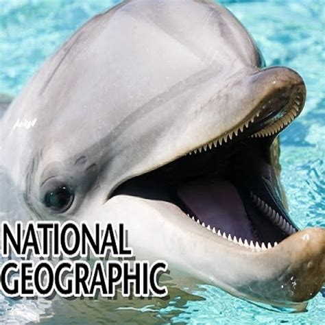 National Geographic Documentary - YouTube