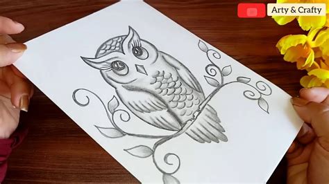 How To Draw An Owl Easy Youtube - Goimages Story