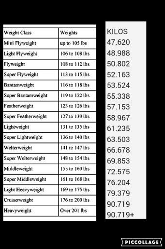 Why 8 Weight Classes | Wiki | Boxing Amino