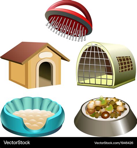 Dog accessories set Royalty Free Vector Image - VectorStock