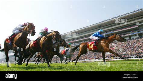 View of Sha Tin Racecourse Stock Photo - Alamy