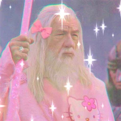 Gandalf Icon Soft 🍥🌸 | Harry potter memes, Harry potter mems, Harry ...