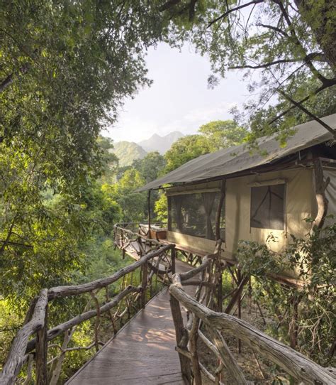 Sarara Treehouses in Kenya — SARARA | Safari Ecolodges & Foundation in ...