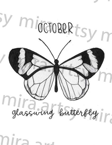 October Birth Month Butterfly Scan glasswing Butterfly DIGITAL DOWNLOAD for Tattoo Design or ...