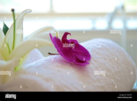 Spa treatment with orchid in bathroom Stock Photo - Alamy