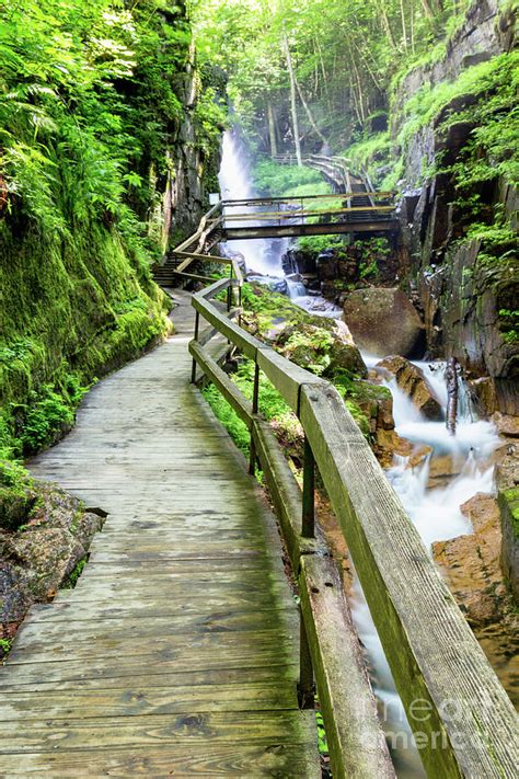 The Flume Gorge Lincoln New Hampshire Photograph by Dawna Moore ...