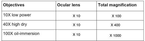 [Solved] Table I. Magnification Objectives Ocular lens Total magnification... | Course Hero