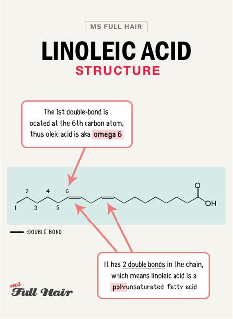 Linoleic Acid for Hair Growth - TOP 3 Carrier Oils