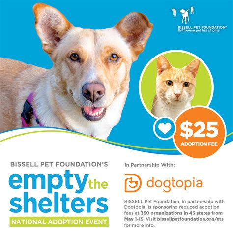 Austin Animal Center participates in "Empty the Shelters" event | AustinTexas.gov