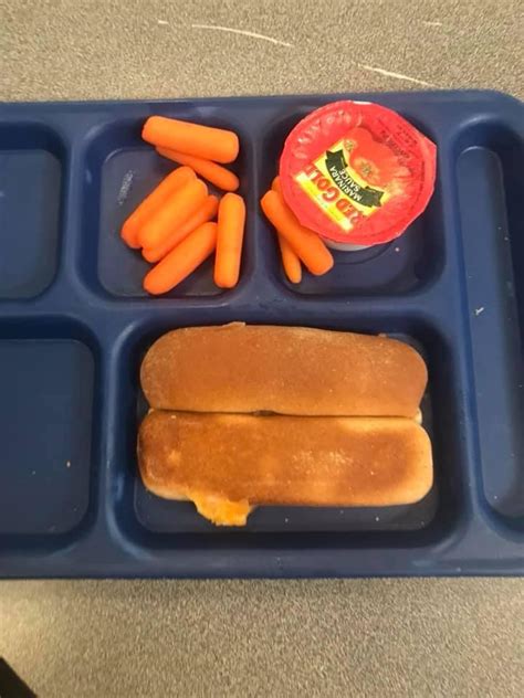 Photo of Student's 'Pathetic' School Lunch Goes Viral and Outrages Parents