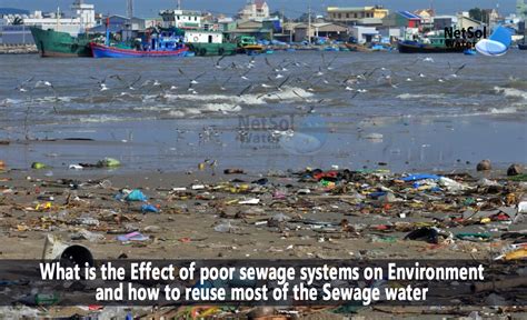 What is the Effect of poor sewage system on Environment