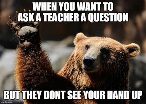 Funny Bear Memes