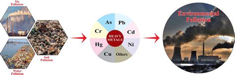 Environmental Pollution with Heavy Metals: A Public Health Concern | IntechOpen