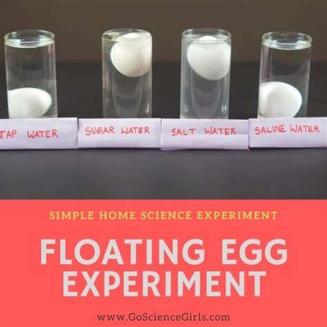 Floating Egg Science Experiment ( Using Salt, Sugar & Saline Water)