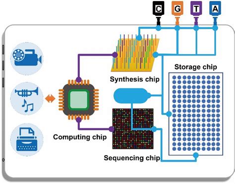 Ropecount-Tianjin University has made a major breakthrough in DNA ...