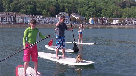 Do you want to get into STAND UP PADDLE BOARDING ? – SUP Gower