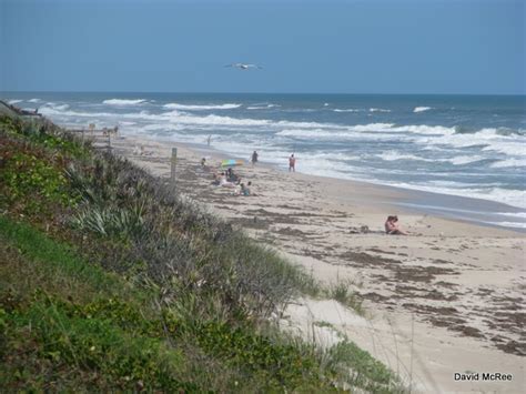 Best Beaches Near Orlando - Playalinda Beach | Canaveral National ...