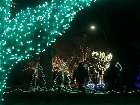 Toledo Zoo's lights display part of holiday trail | The Blade