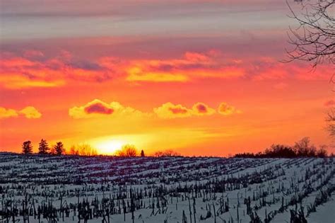 East Gwillimbury CameraGirl: Sunset over cornfield