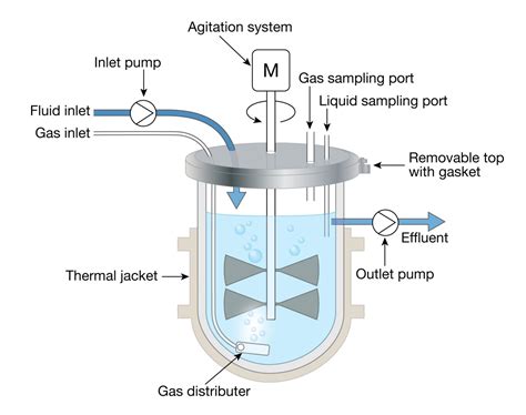 Bioreactor diagram – Sonja Caldwell