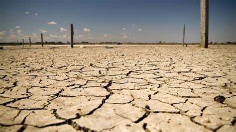 Australian farmers struggle to invest amid drought risk