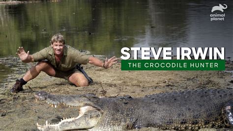 The Best of Steve Irwin - The Crocodile Hunter🐊 | Best Moments | Animal ...