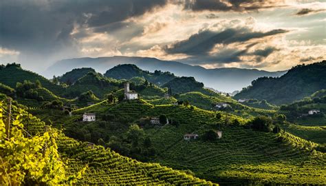 Conegliano Valdobbiadene: exploring the Prosecco Superiore hills