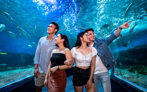 Oceanarium | Manila Ocean Park