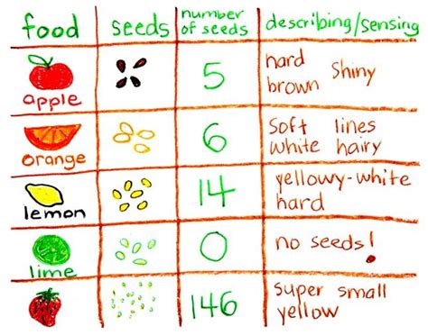 Seeing Seeds on crayola.com | Projekte