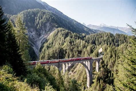 St. Moritz to Tirano: Bernina Express Panorama Train Ticket | GetYourGuide