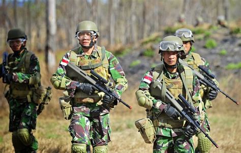 Pacific Sentinel: News Story: Indonesia - 4 soldiers killed in exercise