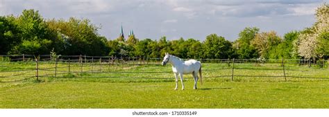 16,734 White Horse Fence Field Images, Stock Photos & Vectors ...