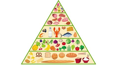 In detail the new food pyramid - E Who Know