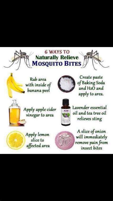 Get rid of the mosquito itch | Natural mosquito bite remedy, Remedies for mosquito bites ...