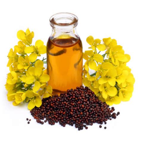 Mustard Seed Oil Virgin